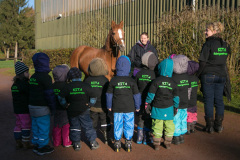 Kita Röntgenstraße